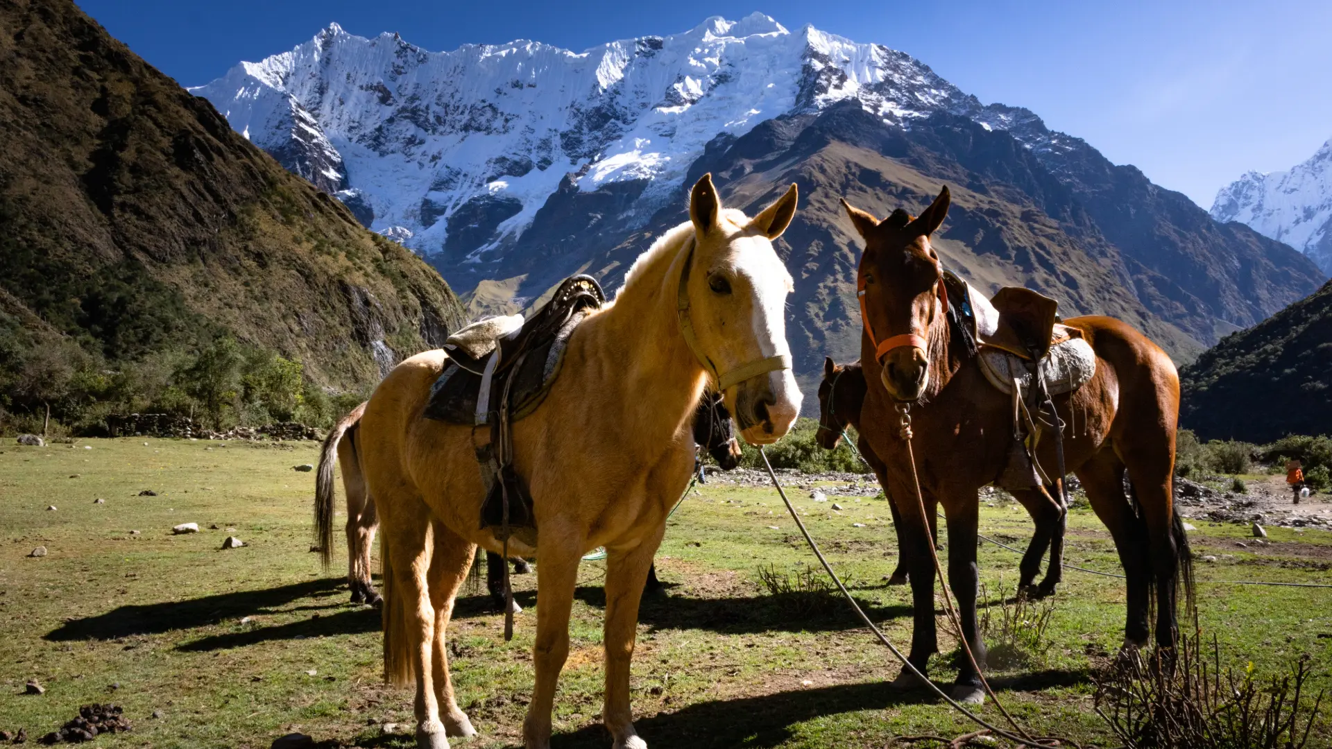 Cusco (18)