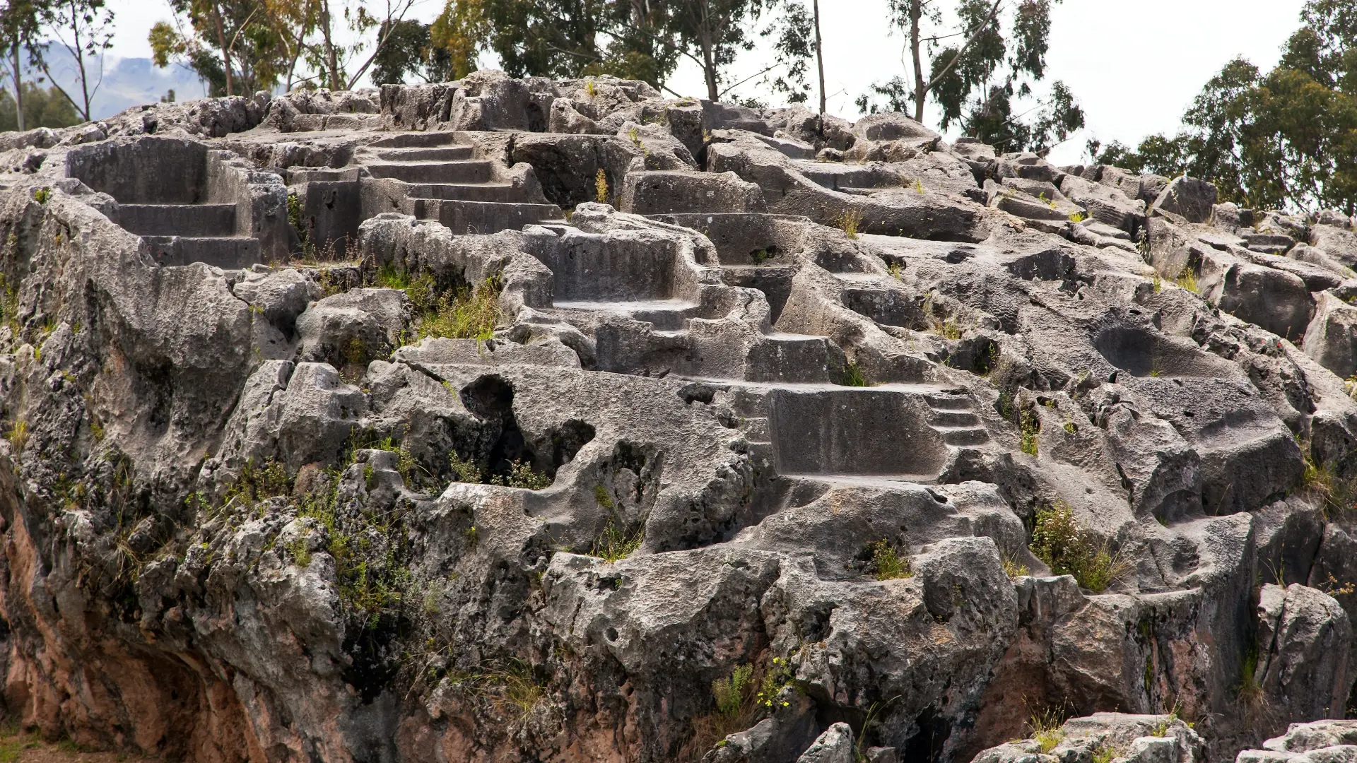 Qenqo