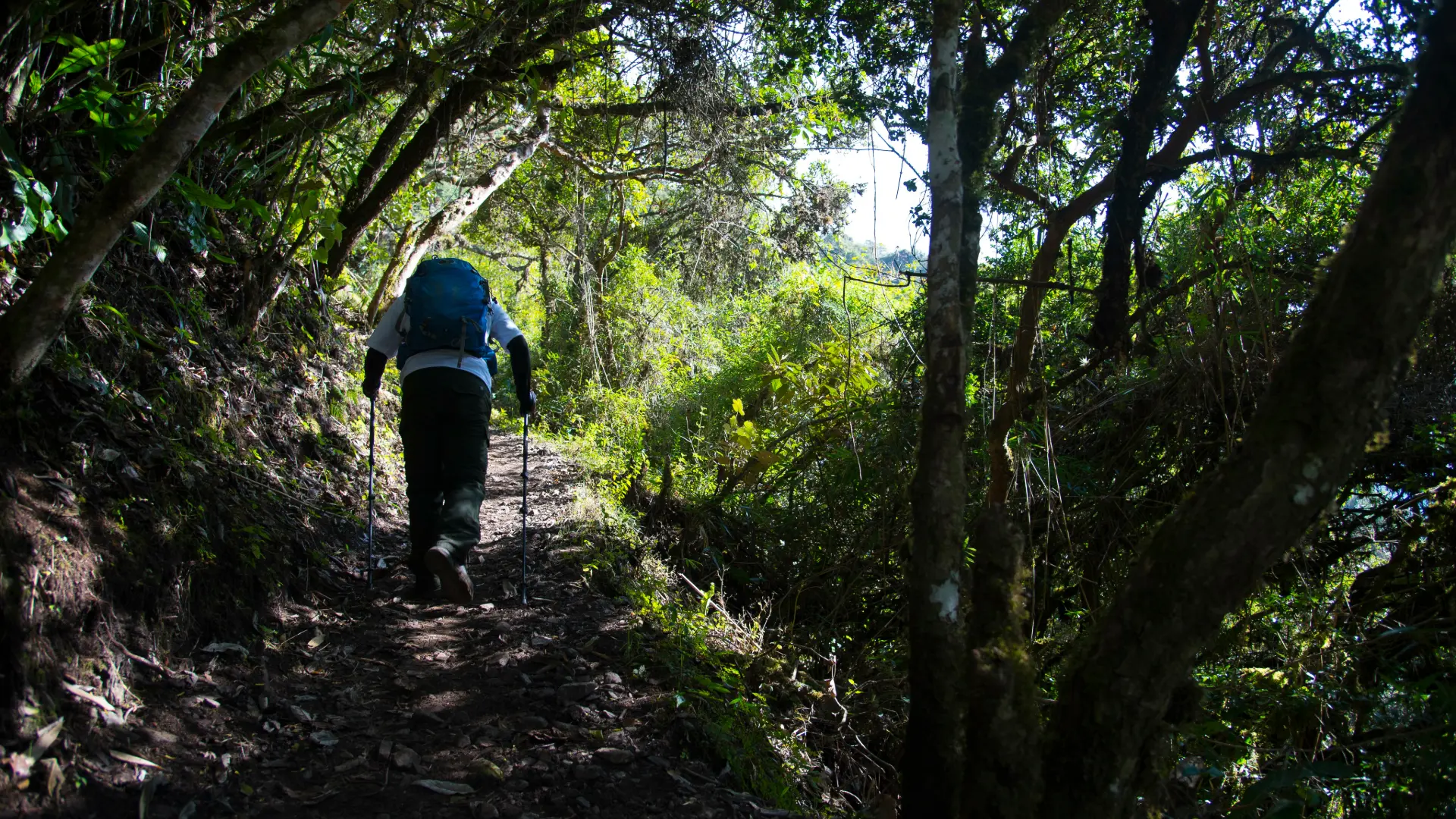INKA TRAIL 2