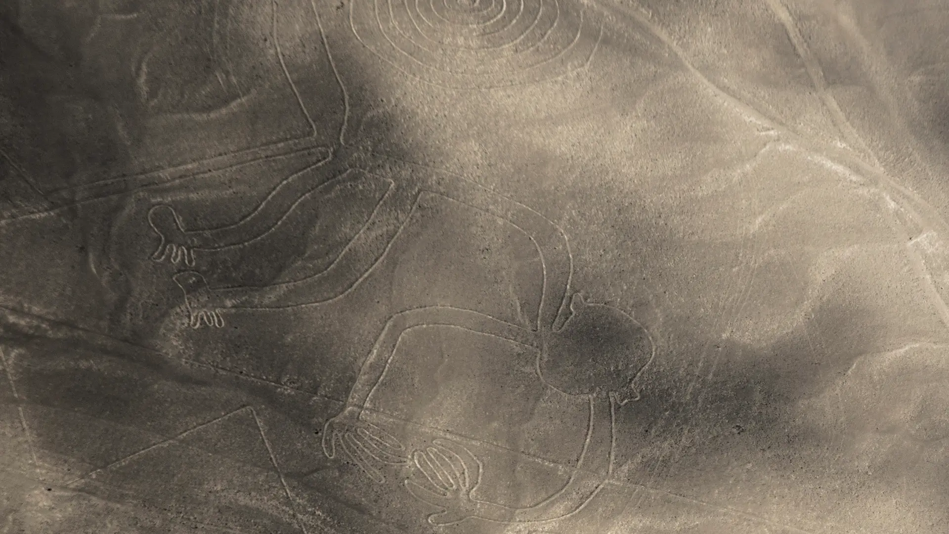 LINEAS DE NAZCA MONO