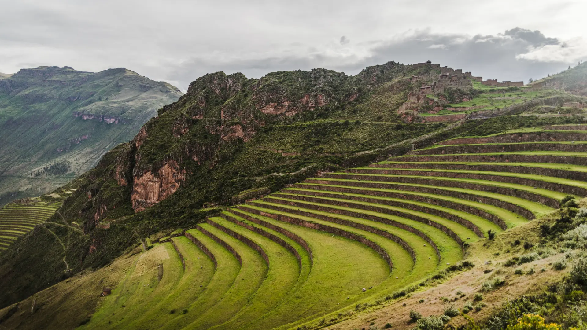 PISAC